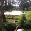 Fishpond