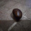 Loquat seed