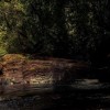 Wayanad Small Waterfall Evening View