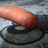 Nantes Carrot