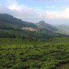 Coonoor Mountain