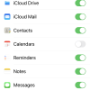 iPhone 13 Pro Max iCloud Options