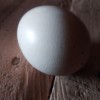 Kienyeji egg