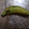 Macho banana