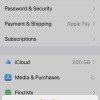 iPhone 13 Pro Max Media and Purchases Settings