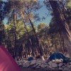 camping, nature