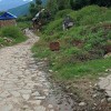 Road leading to beautiful Chitlang