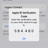 iPhone 13 Pro Max Apple ID Verification Code