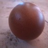 Hybrid egg
