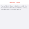 iPhone 13 Pro Max iCloud Delete Siri Backup