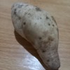 Cilembu sweet potato