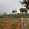 Rainbow on a rainy day. Cloudy skies.