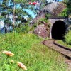 Ooty Tunnel of Railroad