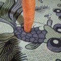 Nantes Carrot