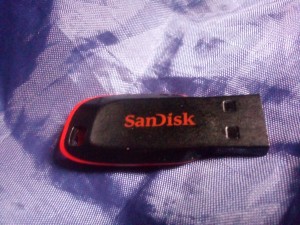 SanDisk Cruzer Blade Flashdrive