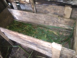 Wooden feeding trough