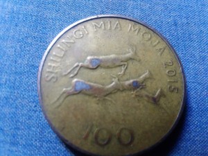 100 Tanzania Shilingi coin