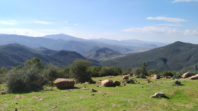 Green beautiful mountains