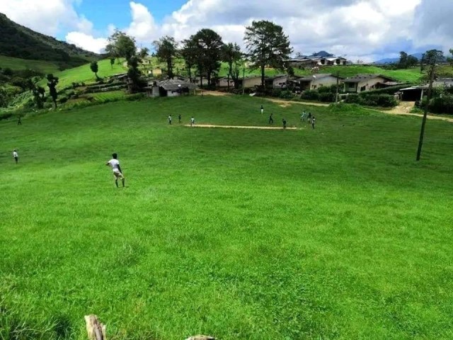 Green Village (Little New Zealand)