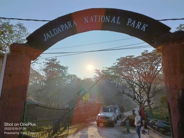 Some experience of Jaldapara National Park
