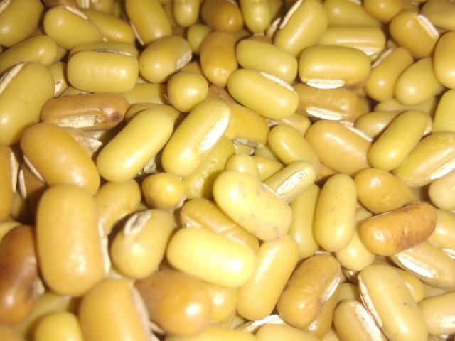 Healthy Bamboo or Peyin beans