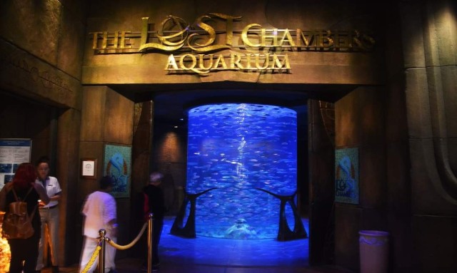 Lost Chambers of Atlantis Aquarium