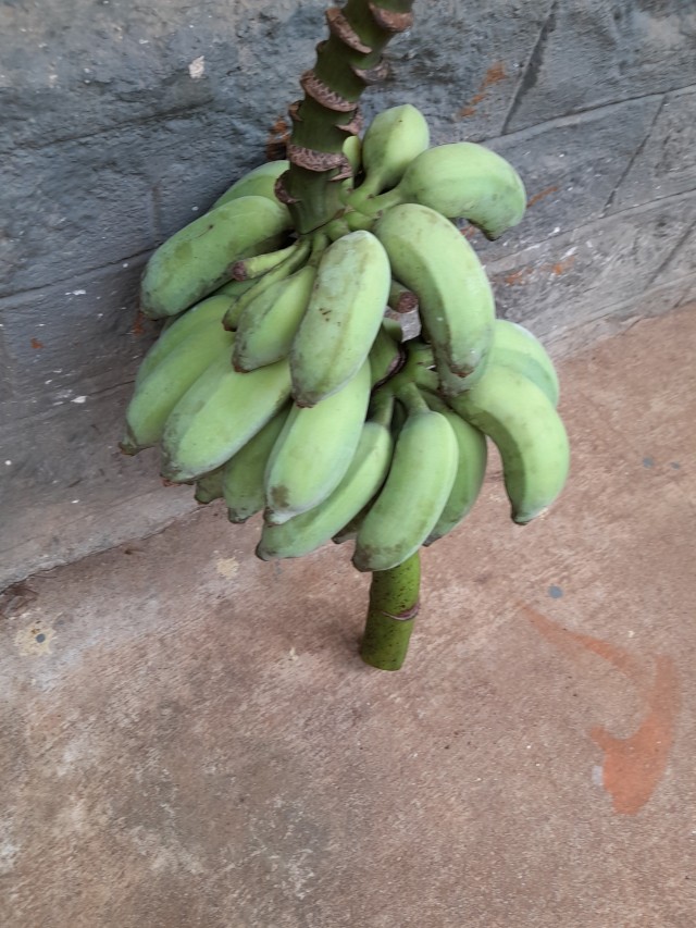 Banana  found in India