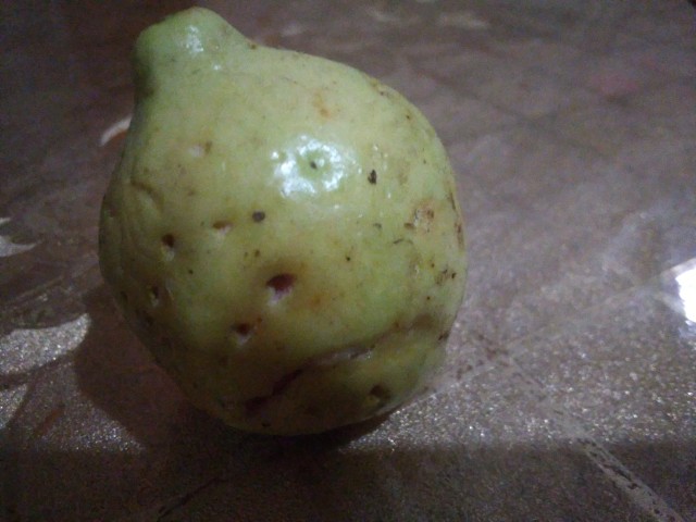 Yellowish ripe guava