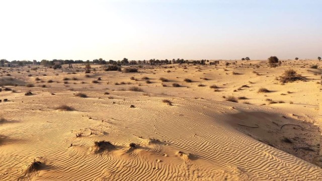 Al Lahbab Desert