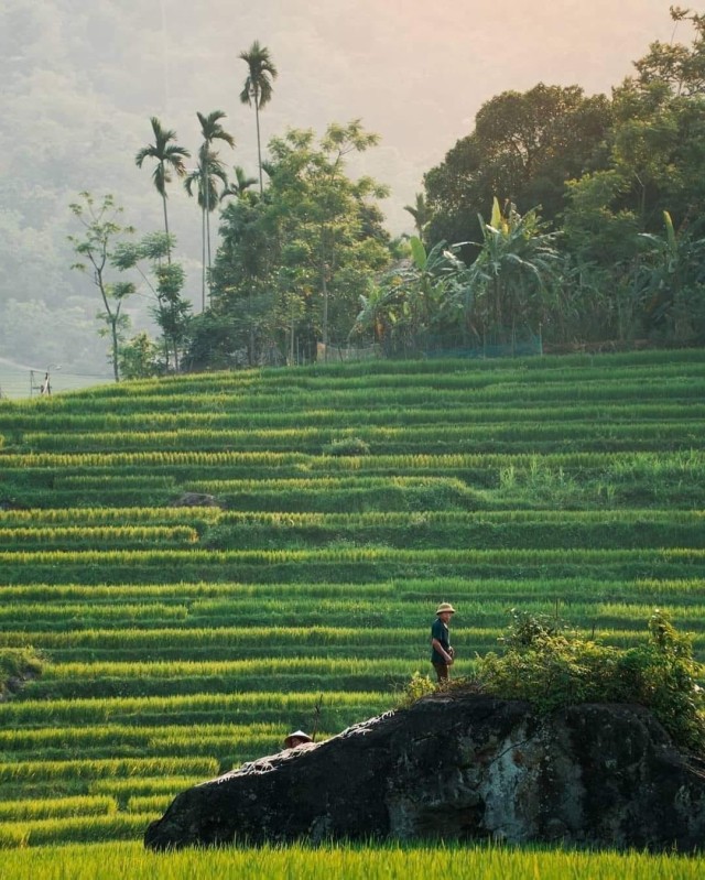 Beautiful Views of Banaue rice terraces