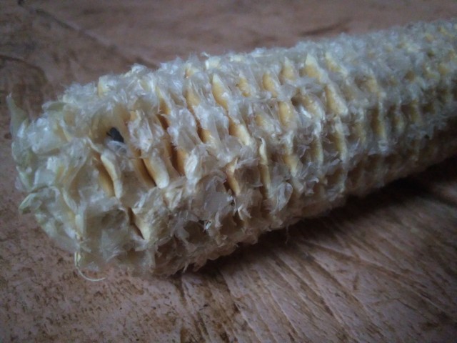 Corncob for use as charcoal