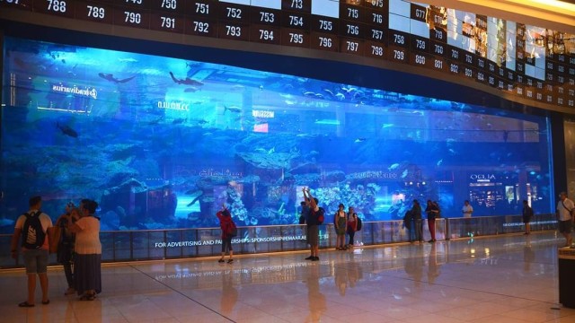 Aquarium in Dubai Mall