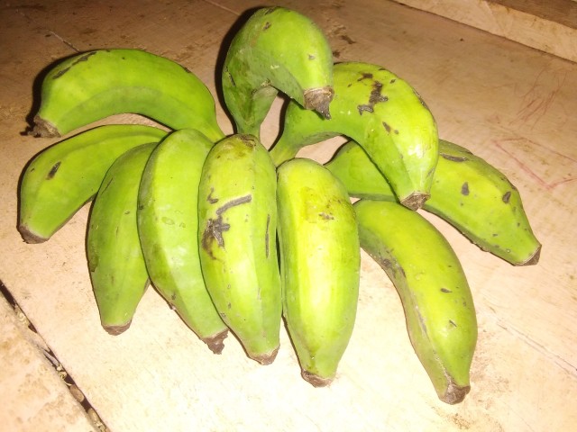 Unripe sweet bananas