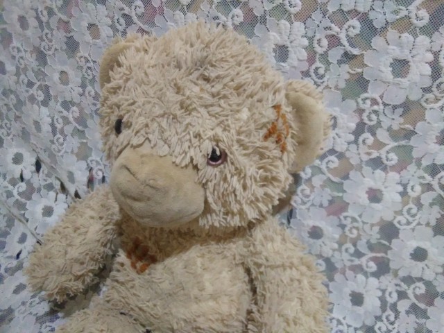 Teddy Bear Doll