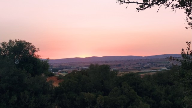 Beautiful Pink Sunset