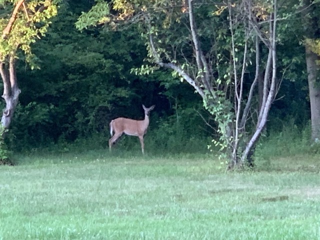 Lenape Trail Plainsboro NJ Scenic Views