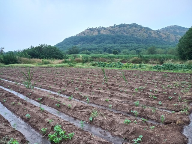 Scenic views of Kasar Shirambe &amp; Chou