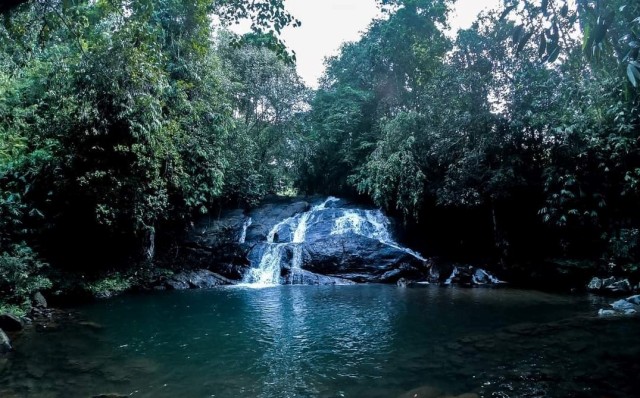 Hidden waterfalls - Wayanad