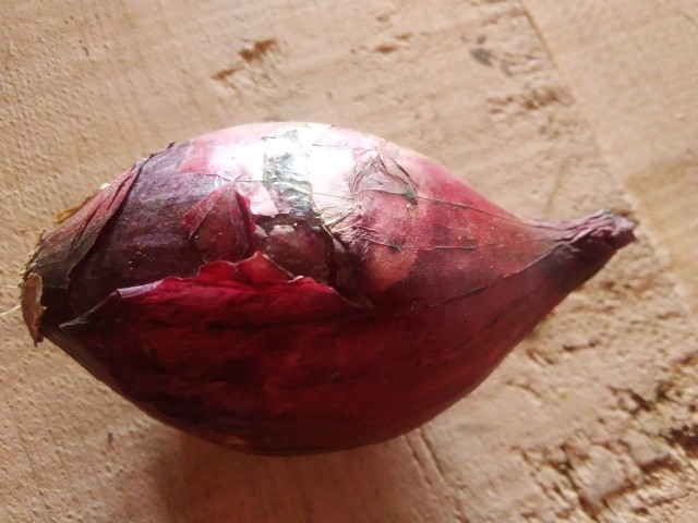 Bulb onion vegetable in Kebirigo market, Nyamira county of Kenya