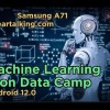 Learn Machine Learning on Data Camp? #datacamp #machinelearning #courses #datascientist