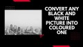 convert any black and white picture into coloured one
