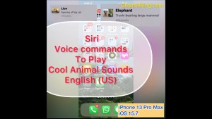 How to ask Siri to play animal sounds? English (United States)