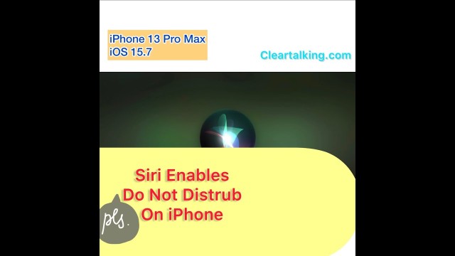 How to enable Do Not Disturb with Siri voice Command on iPhone or iOS device?