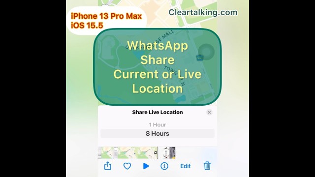 How to share your live location on WhatsApp?