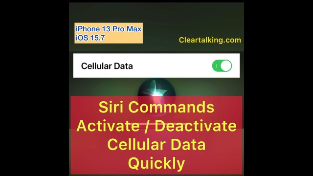 Siri Voice Commands to Turn On or Off Cellular Data Quickly